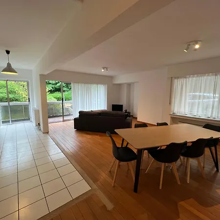 Apartment Alexis's Loft 2 Liege