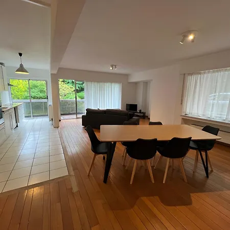 Daire Alexis's Loft 2 Liège